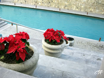 Navidad 2008 Santa Lucia