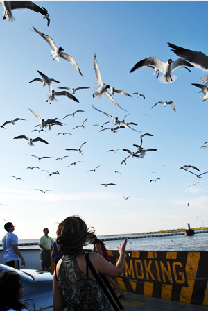 Galveston 2010