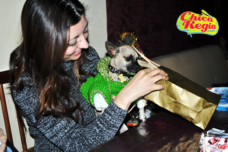 Cumpleaños segundo de mi mascota chihuahau  Pabo