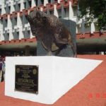 bisonte fcfm uanl mascota